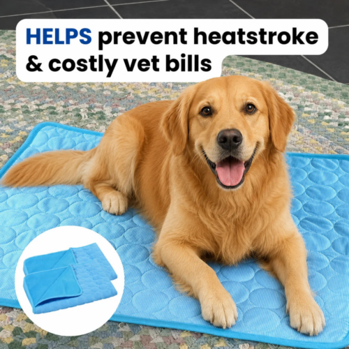Kittra Cooling Mat (Official Retailer) [year]