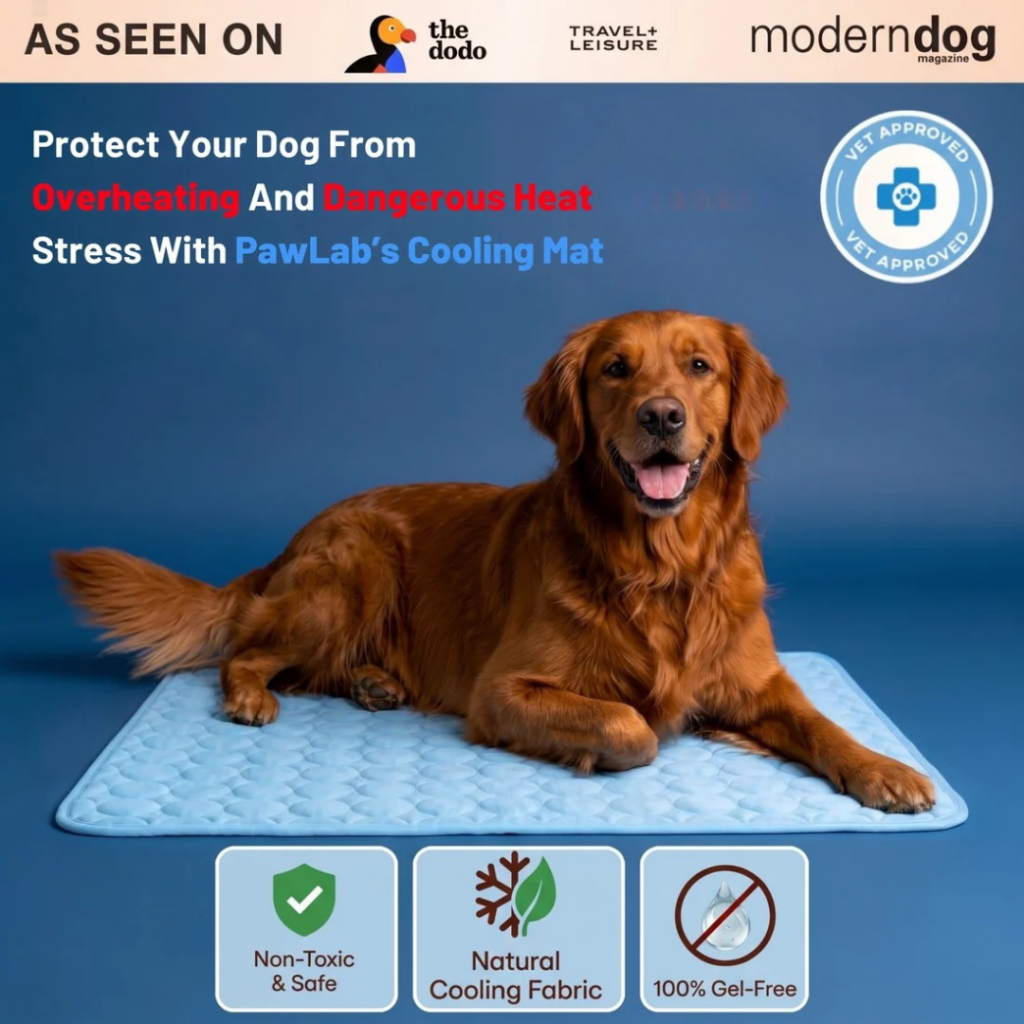 Pawlab Cooling Mat (Official Retailer) [year]